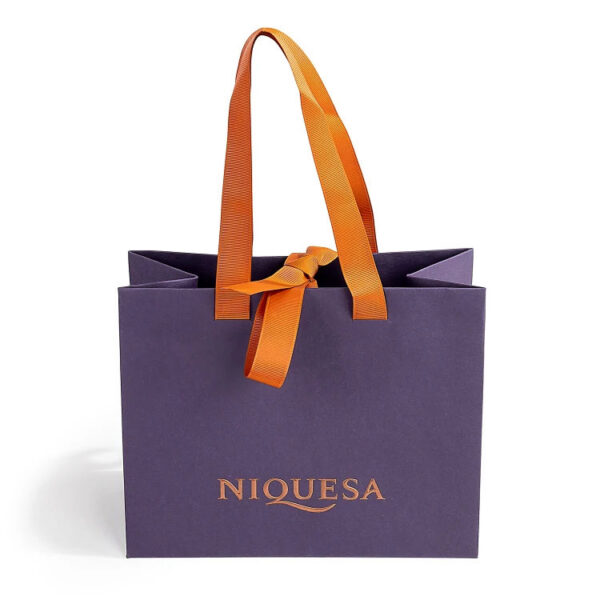 Foil Stamped Boutique Paper Gift Bag with Ribbon Handles Foil Stamped Boutique Paper Gift Bag with Ribbon Handles
