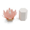 Lotus Petal Dropper Bottle Gift Box with Textured Cover Lotus Petal Dropper Bottle Gift Box with Textured Cover